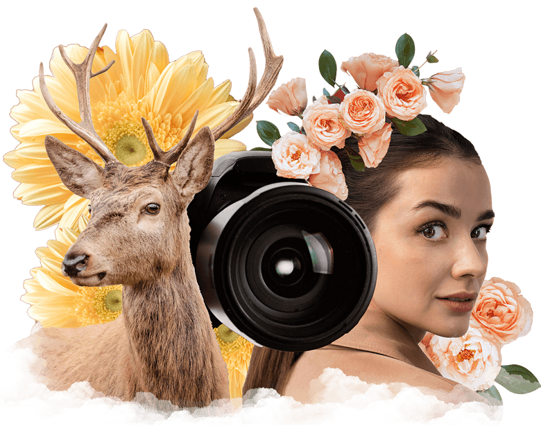 صوره-صفحه-خدمات-التصوير-فوق